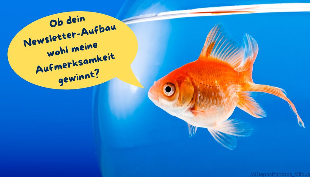 Goldfisch mit Newsletter-Frage